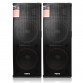 Boxe Profesionale Active 1120 Wati NRS DS-2065 Sisteme Audio Boxe