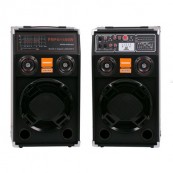 Boxe Active cu Bluetooth si USB Temeshend DP284